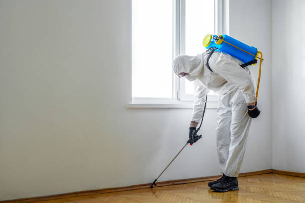 Best Mosquito Control Services  in Glasgow, OR